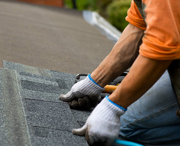 Best Roof Gutter Cleaning  in Soperton, GA