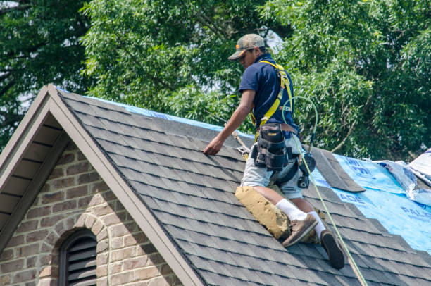 Best Roof Maintenance Services  in Soperton, GA